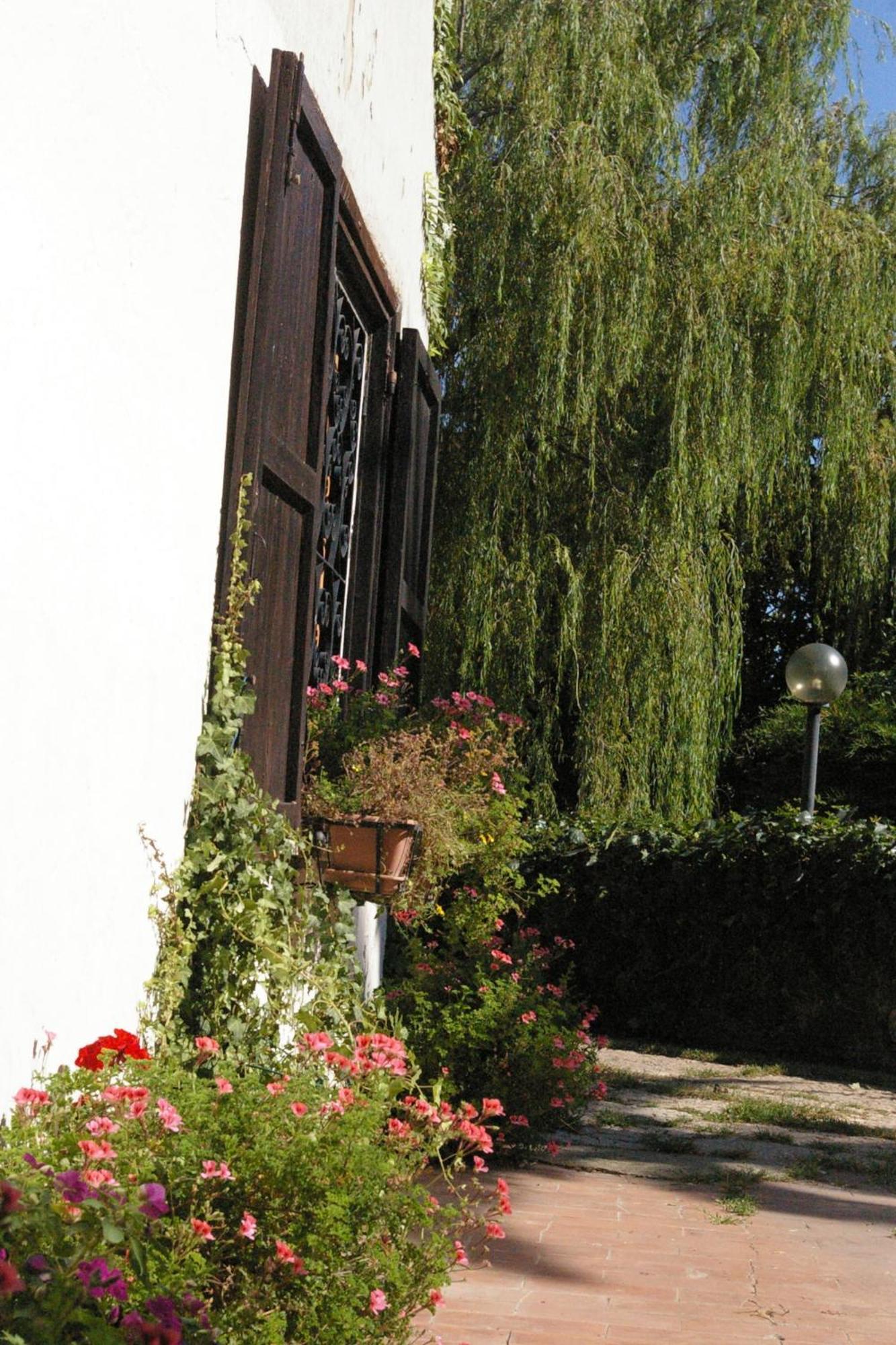 B&B Villa Sans Souci Civitavecchia Luaran gambar