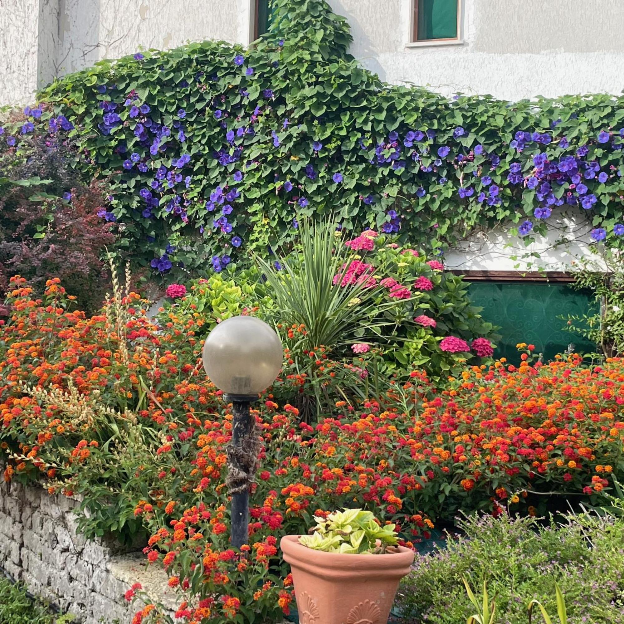 B&B Villa Sans Souci Civitavecchia Luaran gambar
