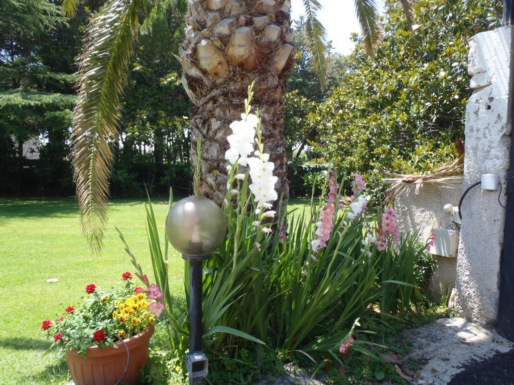 B&B Villa Sans Souci Civitavecchia Luaran gambar