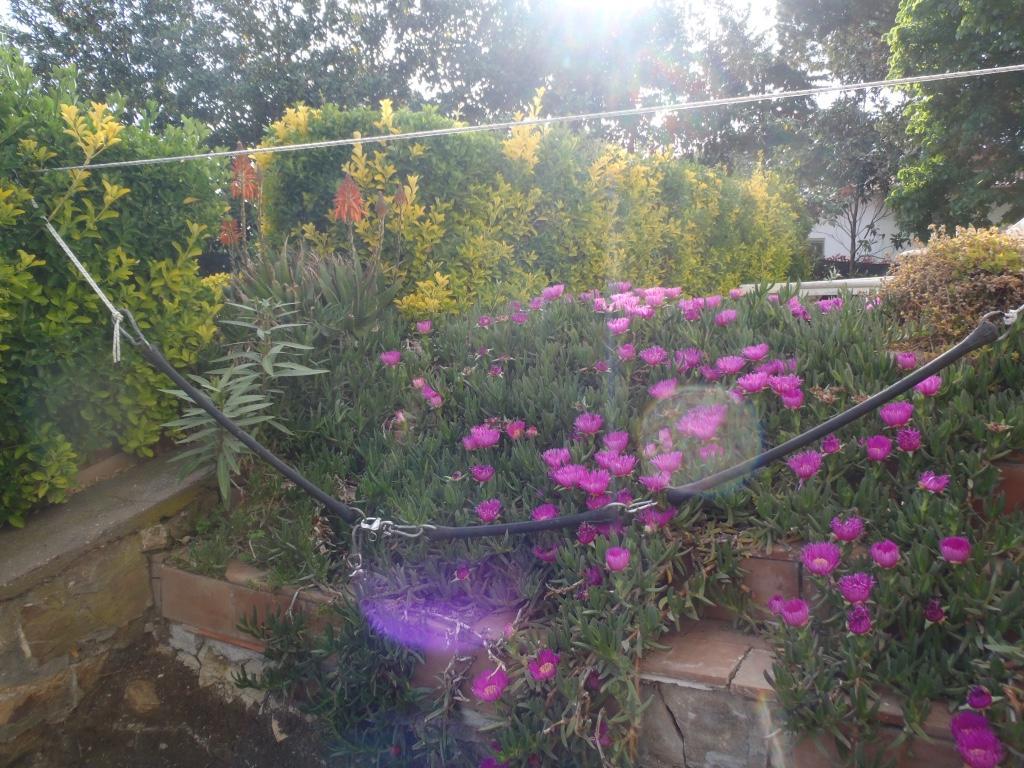 B&B Villa Sans Souci Civitavecchia Luaran gambar