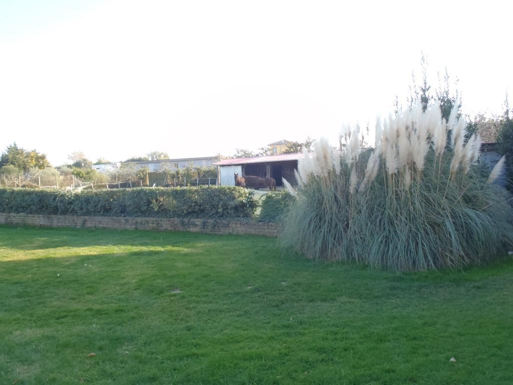 B&B Villa Sans Souci Civitavecchia Luaran gambar