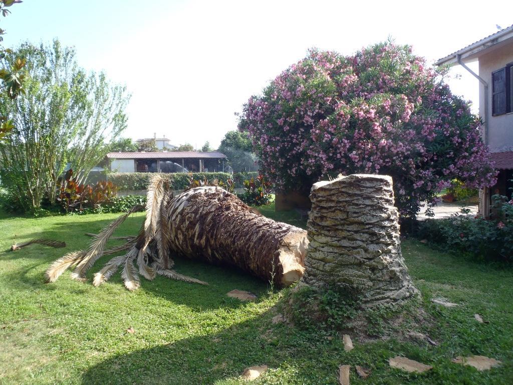 B&B Villa Sans Souci Civitavecchia Luaran gambar